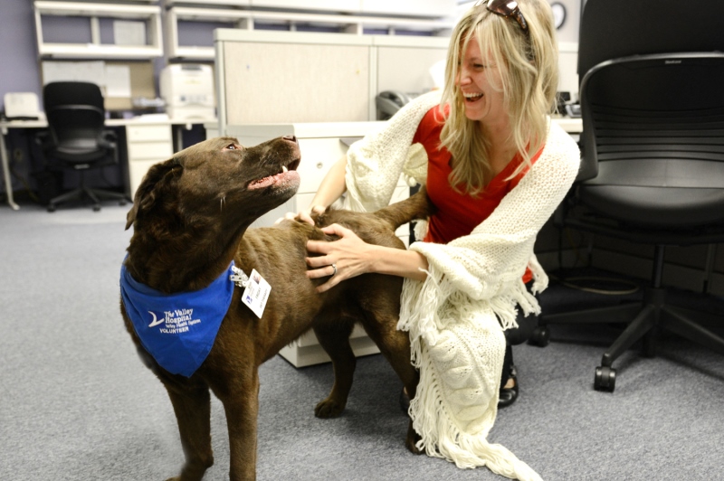 Friday the volunteer dog