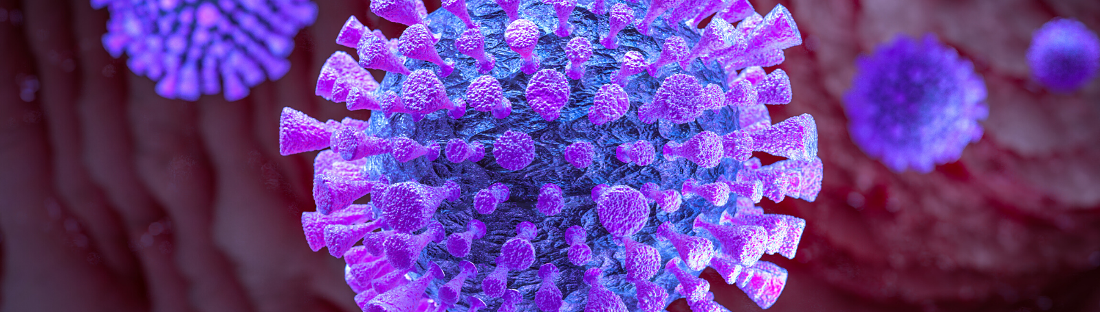 coronavirus, close-up of virus