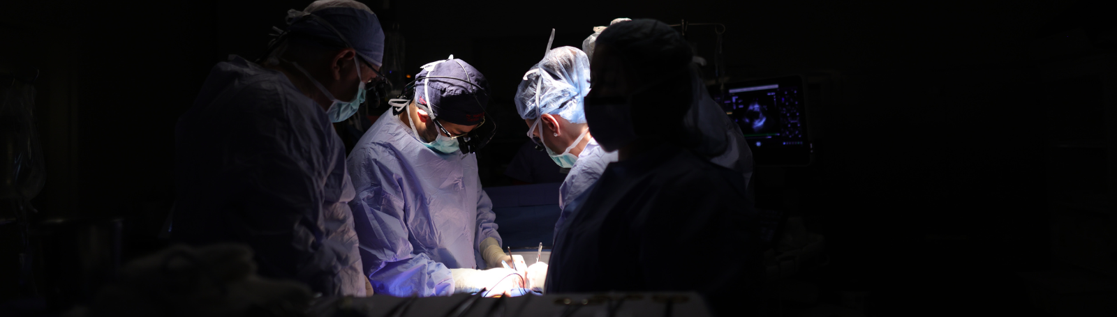 dr. jabagi and team performing ross procedure