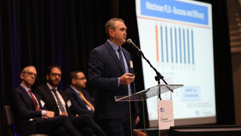 Dr. Musat presenting