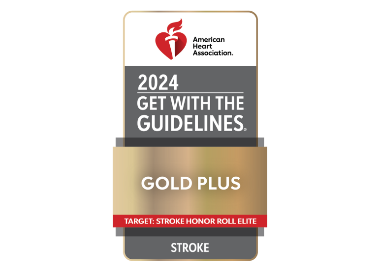 2024 get with the guidelines stroke award