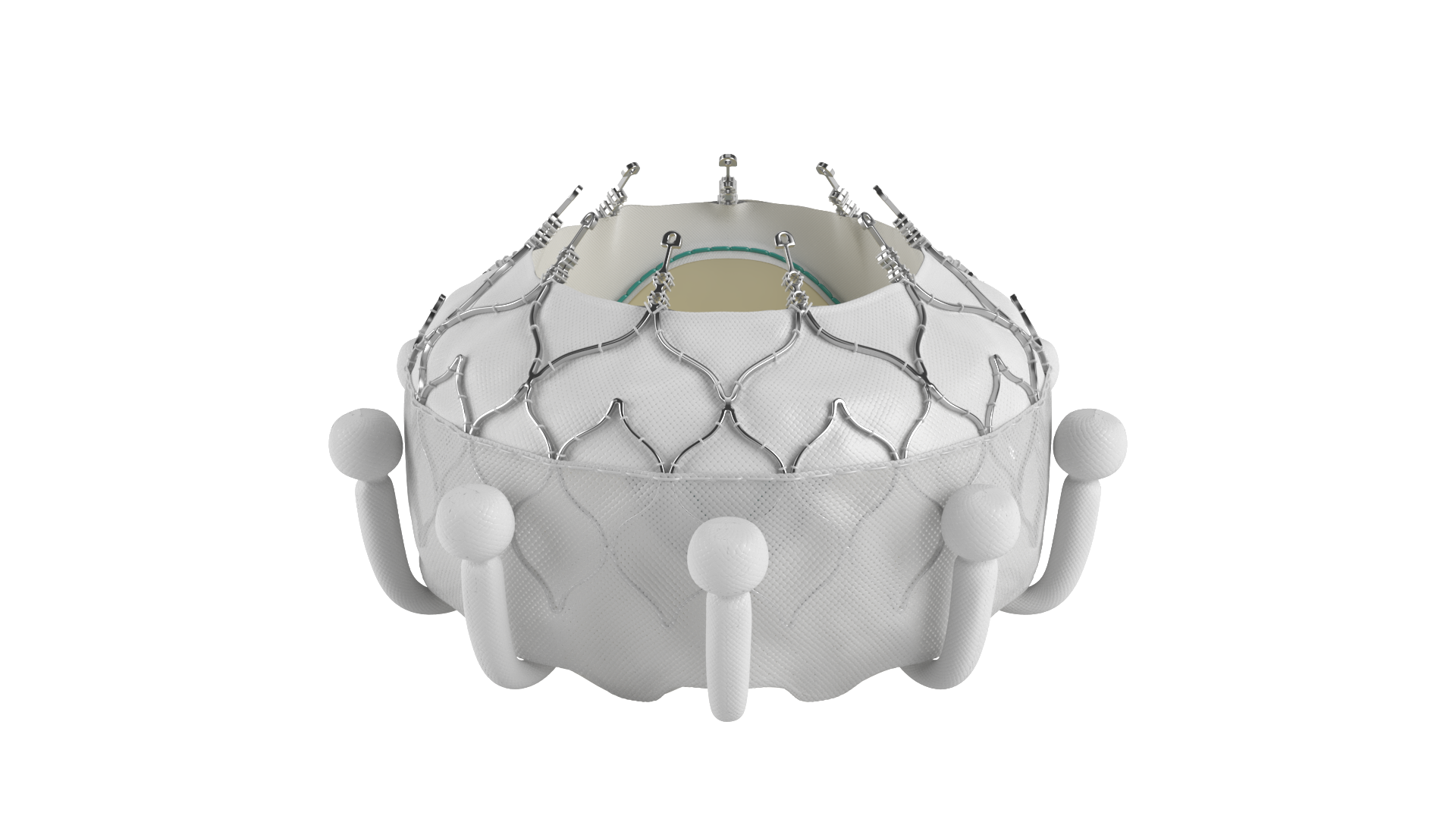 Evoque Tricuspid Valve Replacement System