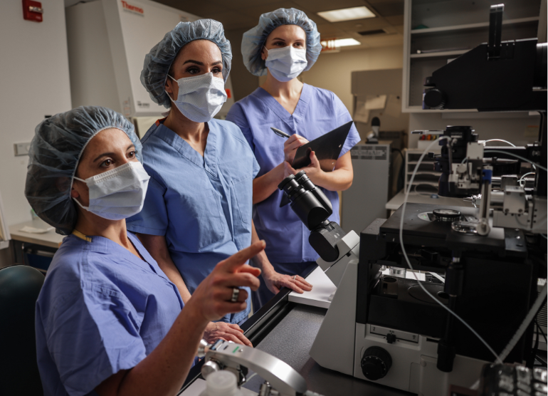 embryology team at work