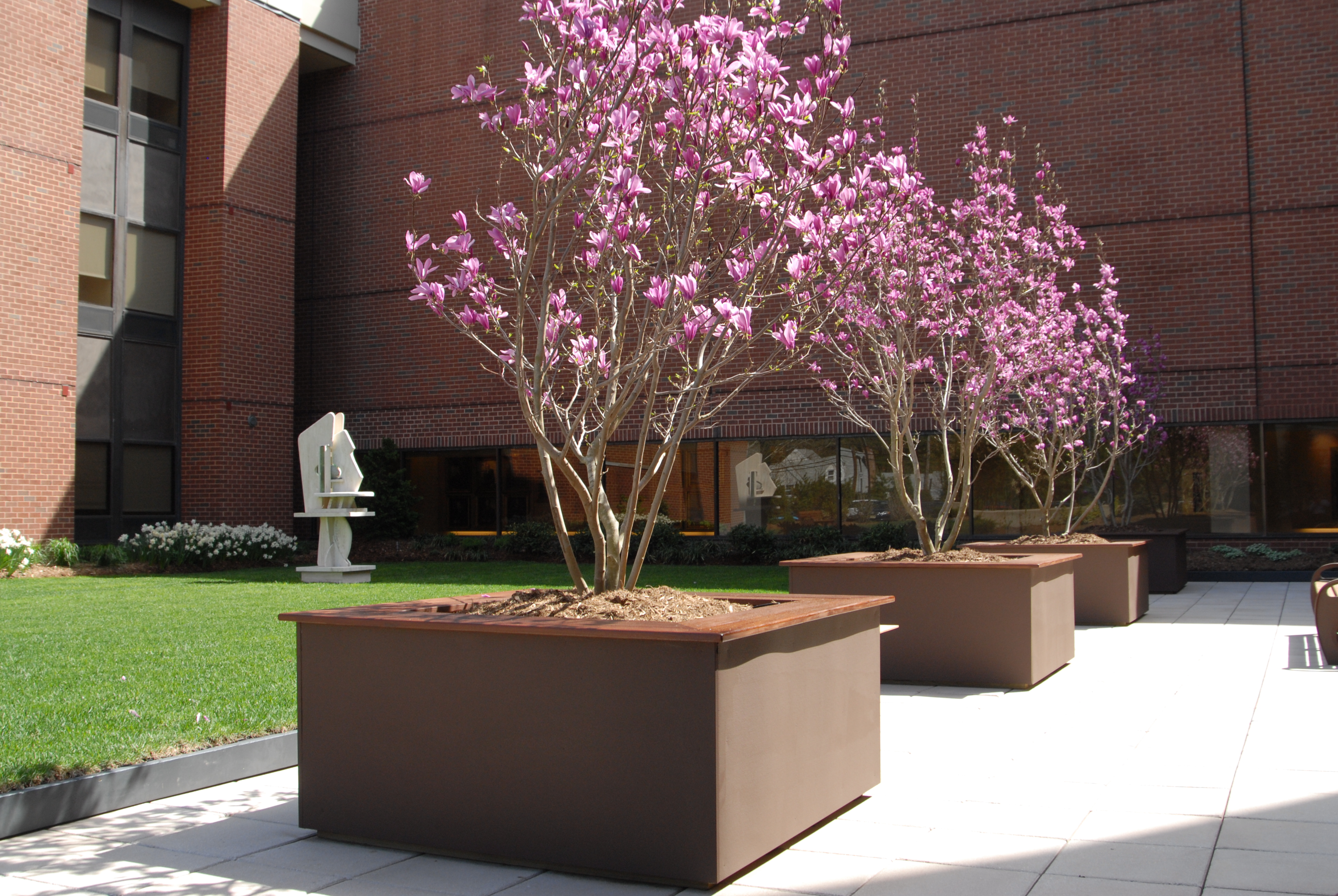 The Friendship Garden at The Valley Hospital