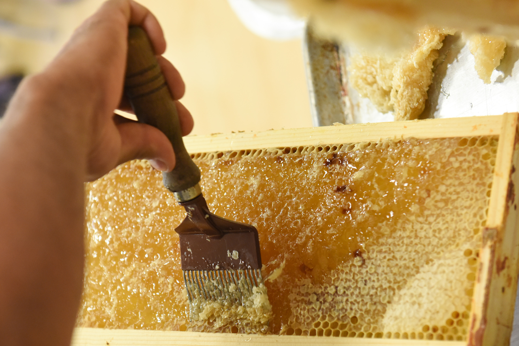 Valley's honeybee hives