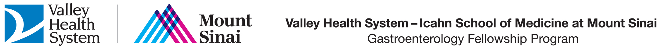 Valley Mount Sinai Gastroenterology Fellowship Logo Lockup