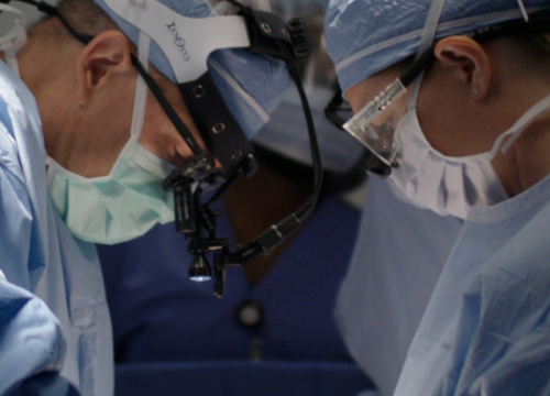 Aortic Valve Repair Versus Replacement