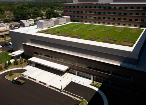 green roof