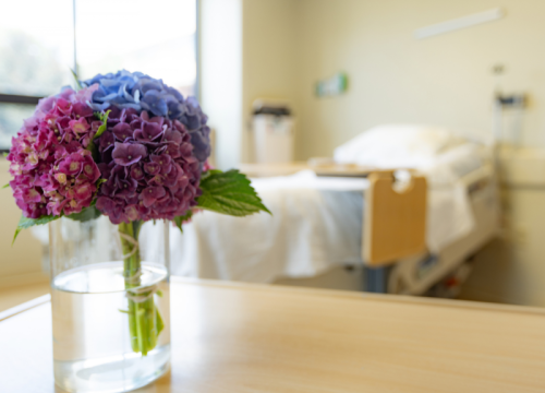 Recovery and Wellness patient room at Valley 