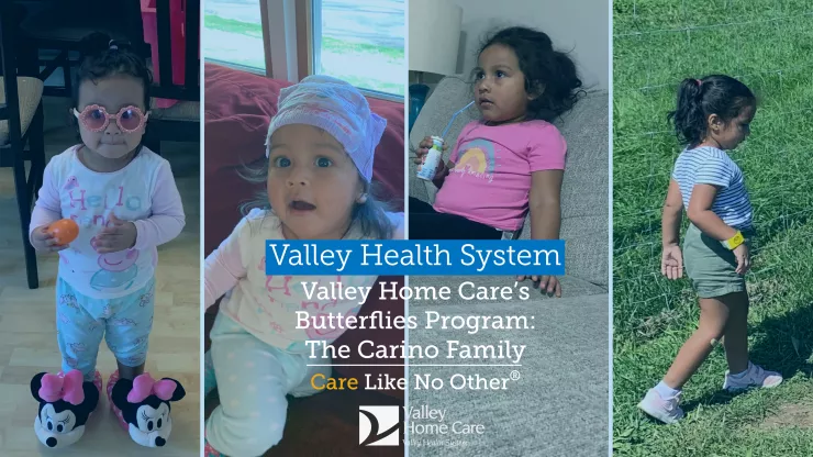 carino family butterflies video