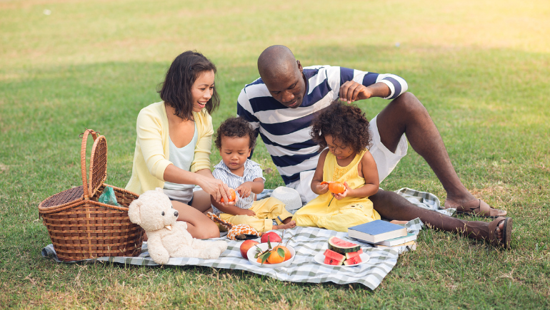 family summer picnic