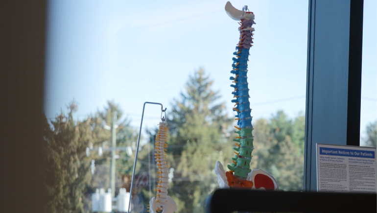 life sized model of human spine at the Valley spine center