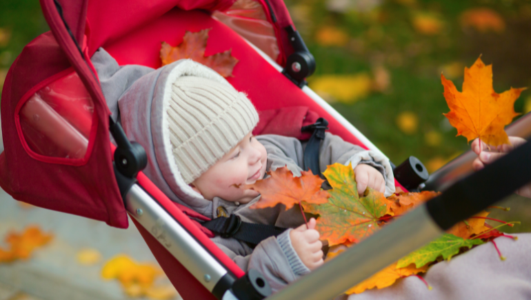 baby in stroller with leaves falling down