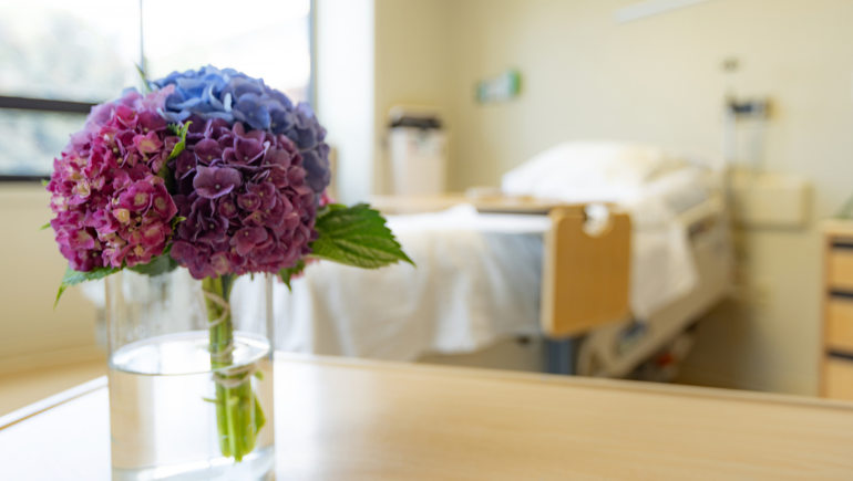 withdrawal management patient room at Valley Health System