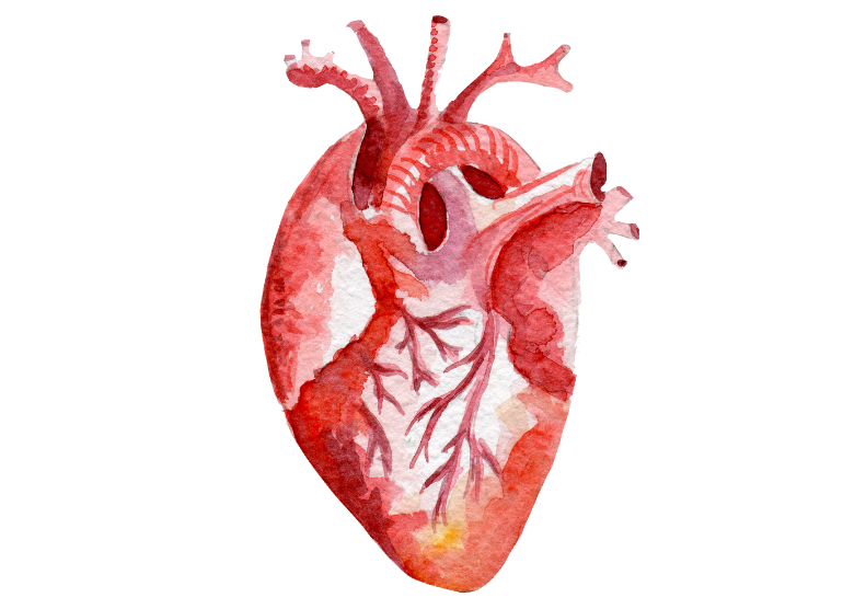 heart care