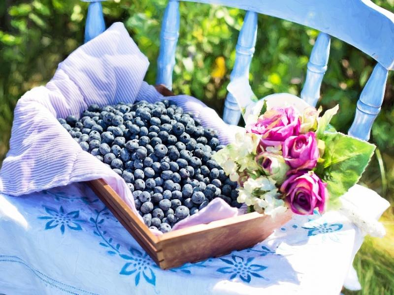 Blueberries
