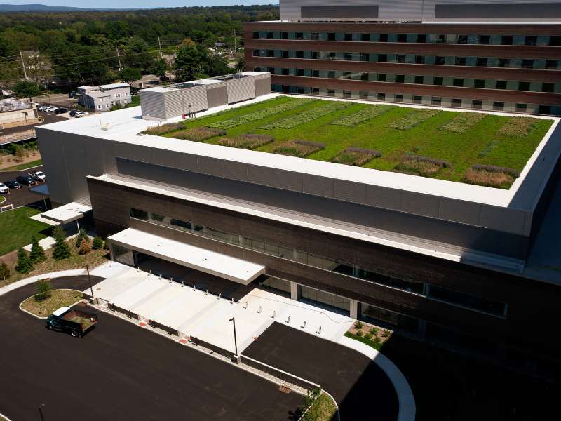 green roof