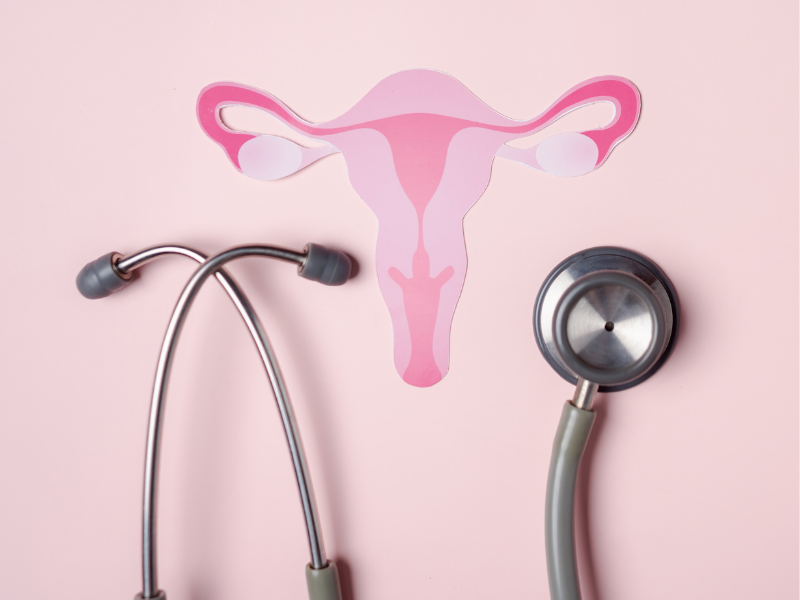 Pink background with uterus and stethoscope 
